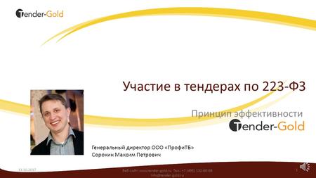 Участие в тендерах по 223-ФЗ: Принцип эффективности  - Tender-gold.ru