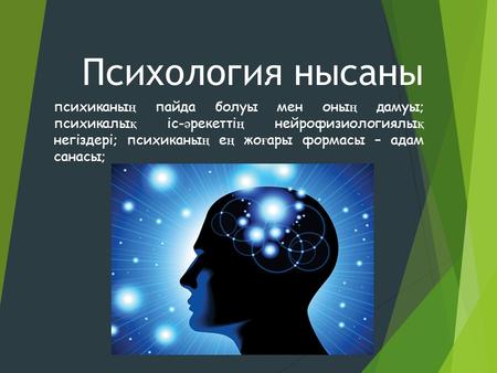 Психология нысаны психиканы ң пайда болуы мен оны ң дамуы; психикалы қ іс- ә рекетті ң нейрофизиологиялы қ негіздері; психиканы ң е ң жо ғ ары формасы.