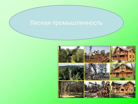 Исследование рынка заготовки, производства и реализации лесоматериалов в Российской Федерации