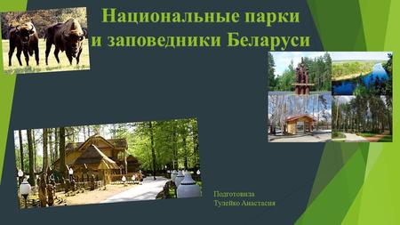 Национальные парки и заповедники Беларуси Подготовила Тулейко Анастасия.