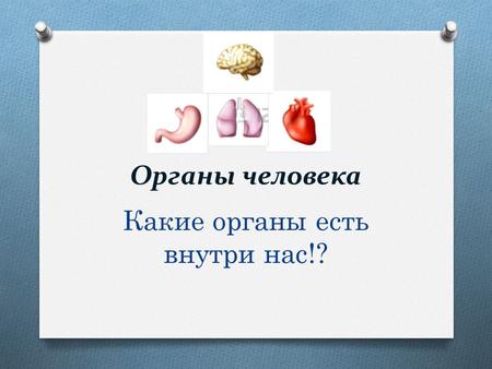 Органы человека Какие органы есть внутри нас!?. На рисунке мы видим органы человека. Первый орган который мы будем рассматривать это мозг следующим лёгкие.