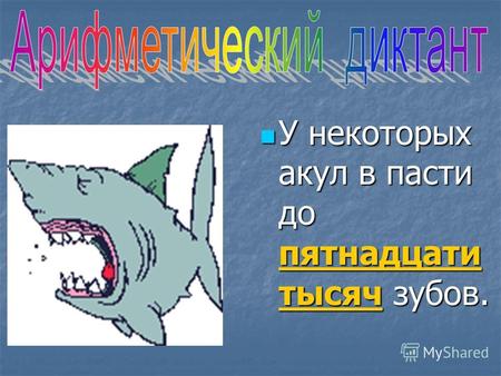 У некоторых акул в пасти до пятнадцати тысяч зубов.