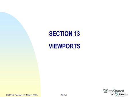 S13-1 PAT318, Section 13, March 2005 SECTION 13 VIEWPORTS.